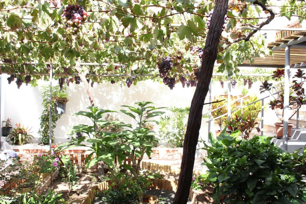 Casa Carmela Vila Agaete  Exterior foto